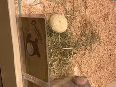 -龙猫仔乐园(惠福东路店)