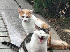-五四广场