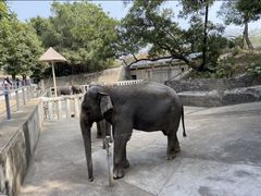 -深圳野生动物园