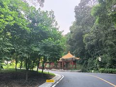 -广州市帽峰山景区