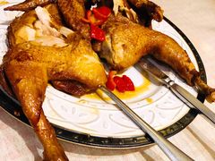 红椒闻鸡-吉事利茶餐厅