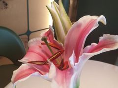 -潮上潮(南中环店)