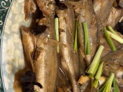 -宾朋海鲜饭庄(兴海路店)