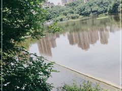-重庆彩云湖湿地公园