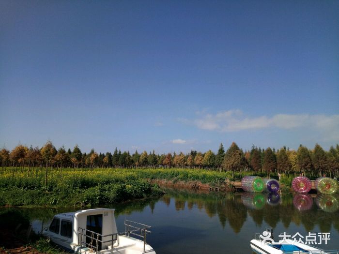 撈魚河溼地公園-圖片-呈貢區景點/周邊遊-大眾點評網