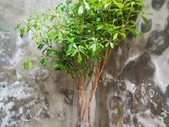 -VOYAGE COFFEE(北锣鼓巷店)