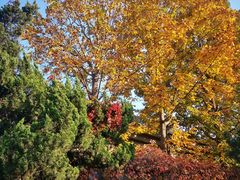 -北京西山国家森林公园