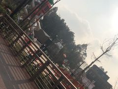 -黄龙溪欢乐田园