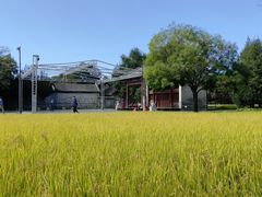 -北坞公园