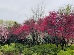 -洛阳市隋唐城遗址植物园