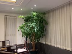 -梅花香里大酒店(郁金香路店)