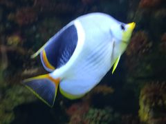 -乌鲁木齐海洋馆