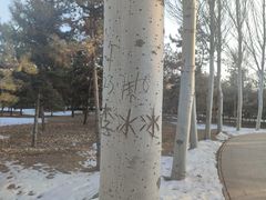 -森林公园(尖草坪区)