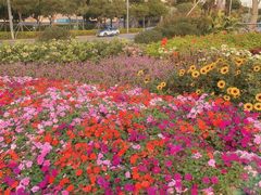 -红星美凯龙全球家居艺术博览中心(沙田广场店)