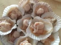 扇贝-海峡水产品交易中心(海鲜交易区)