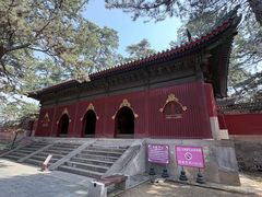-普乐寺