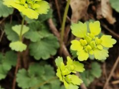 -本溪老边沟风景区