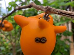 -优游吧斯邹族文化部落