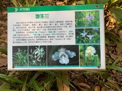 -中国科学院西双版纳热带植物园