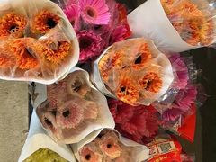 -南汇花鸟市场(上海浦东新花卉店)