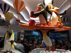 -帝企鹅自助餐厅•儿童岛•真企鹅(长隆企鹅酒店)