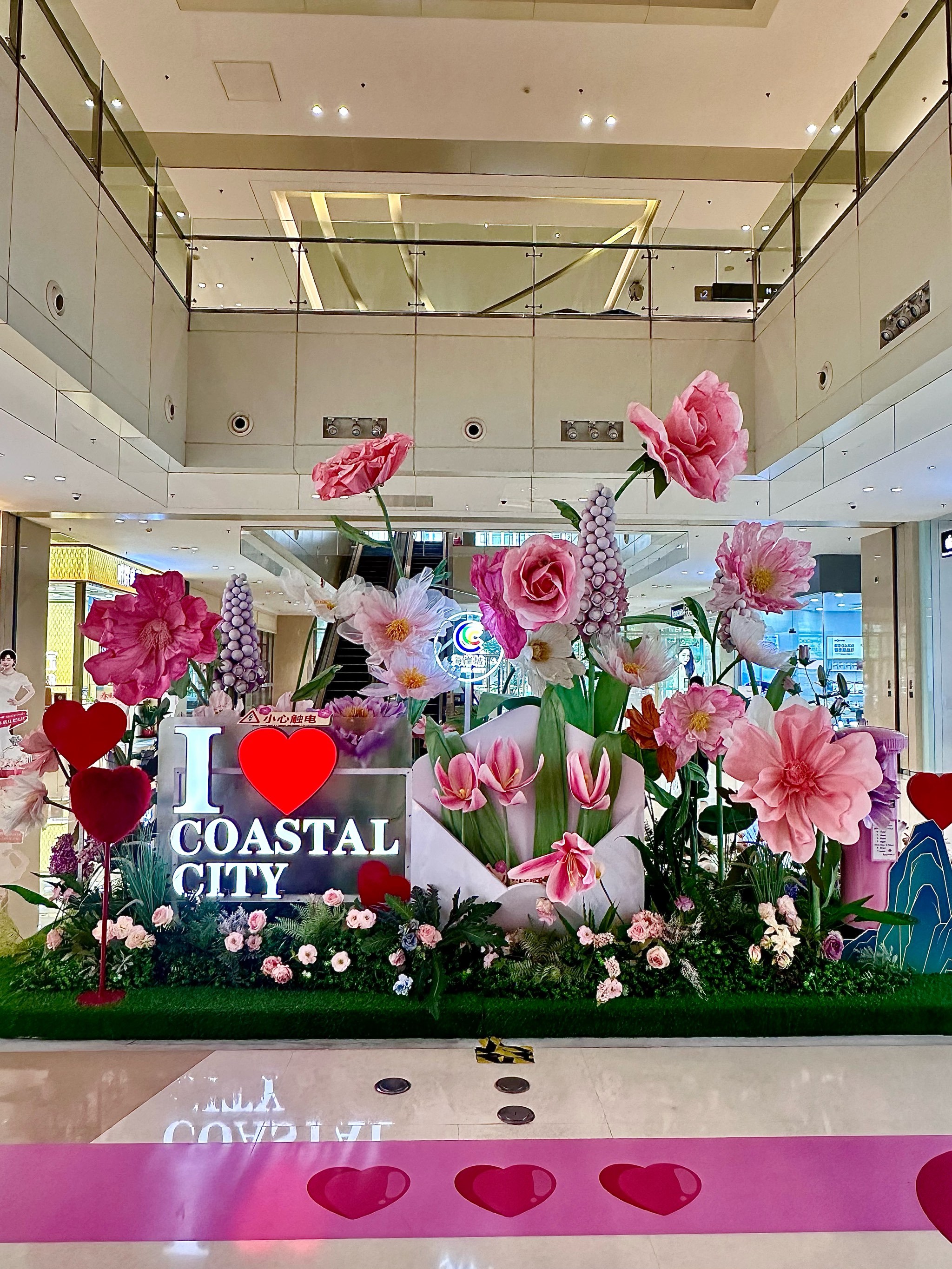 网红熊猫扶梯萌翻🐾可可爱爱的💕