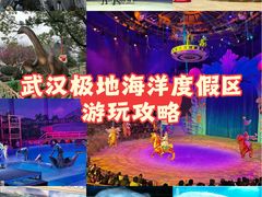 -海合安武汉极地海洋公园