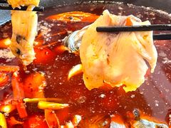 -安吉美渝石锅鱼(芜园西路店)