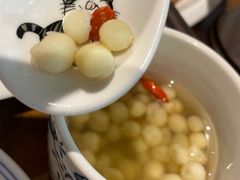 -椿不老