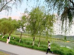 -江阴敔山湖公园