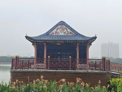 -顺峰山公园