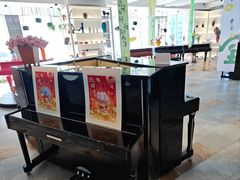 -小小莫扎特钢琴馆(香港名都店)