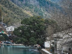 -鹿亭中村