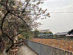 -莫催咖啡