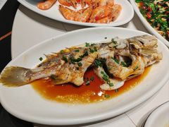 -金海湾海鲜排档(朱家尖店)