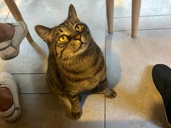 -螺大蛳柳州螺蛳粉·火锅·热干面(西城永捷店)