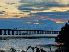 -宝安西湾红树林湿地公园