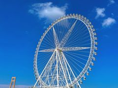 -祥源·阜阳生态乐园