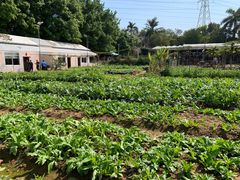 -任达丞国农庄(任达山庄店)