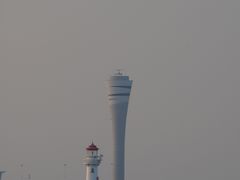 -上海滨江森林公园