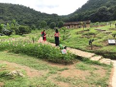 -广州市石门国家森林公园