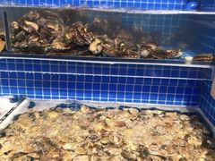 水产区-乔哥铭洋海鲜自助(皇城恒隆广场店)