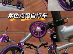 -DAHON大行折叠自行车(松江旗舰店)