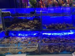 -SEA西雅图海鲜自助餐厅(正义店)
