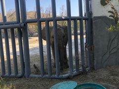 -新疆天山野生动物园
