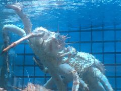 -协成海鲜火锅(情侣路店)