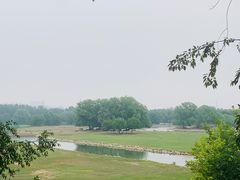 -北京麋鹿生态实验中心