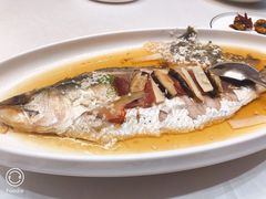 食鱼-茗鼎汇(星方汇广场店)