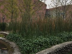 -活水公园