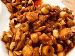 传统宫保鸡丁-力力豆花庄(广渠门店)